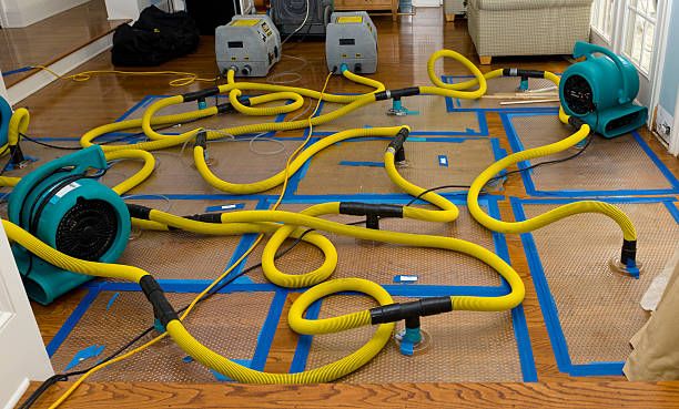 Professional Burst Pipe Water Damage technician working in Philo, OH